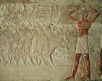 Dombormű, amely egy sofőrt ábrázol, aki egy csoport szarvasmarhát bátorít, Mereruka Mastabából, Óbirodalomból (festett mészkő) alkotó: Egyptian 6th Dynasty Egyptian 6th Dynasty