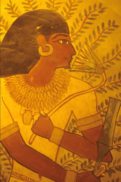Ókori Egyiptom, Sennufer sírja, Théba, Luxor, falfestmény, freskó, falfestmény, freskó alkotó: Egyptian Egyptian