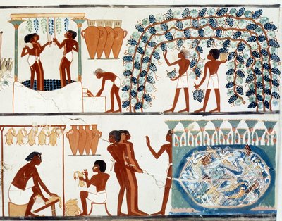 Art Egypt: szőlő szedése és taposása. Simile College of the Tomb of Nakht, II. Amenophis korszaka (kb. i.e. 1450-1425) Párizs, College De France alkotó: Egyptian Egyptian