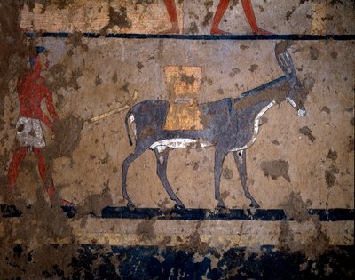 Egyiptomi ókor: „” gabonaszállítás öszvér hátán”” Temperafestmény Iti (vagy Ity) király kancellár sírjának faláról Kr.e. 2200-2000. El Ghebelenből, Luxorból. Torino, egyiptomi múzeum alkotó: Egyptian Egyptian