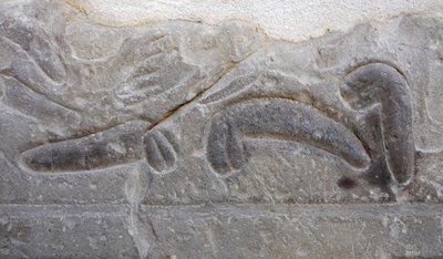 Az ellenség által levágott férfi nemi szervek halmai, Hórusz temploma, Edfu alkotó: Egyptian Egyptian