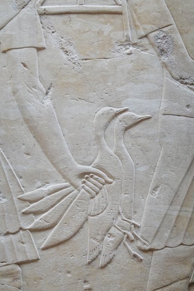 2 libát szárnyánál fogva tartó kéz, Ramose sírja alkotó: Egyptian Egyptian