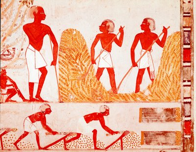 A betakarítás jelenete az ókori Egyiptomban (freskó alkotó: Egyptian Egyptian