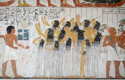 A gyászmenet jelenete, Ramose sírja alkotó: Egyptian Egyptian