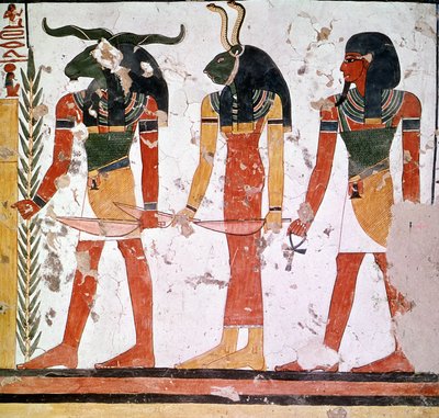 Nefertari sírja a Knoum és Sekeuti istenekkel (freskó) alkotó: Egyptian Egyptian