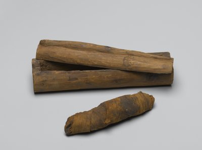 Kis kígyókoporsó múmiával, ie 664-i.e. 322 (fa, állati maradványok és lenvászon) alkotó: Egyptian School