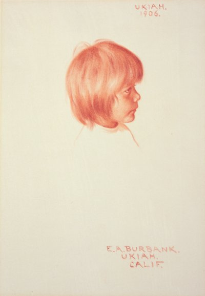 Ukiah alkotó: Elbridge Ayer Burbank