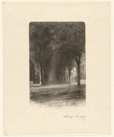 Névtelen [Fákkal szegélyezett utca] alkotó: Elbridge Kingsley