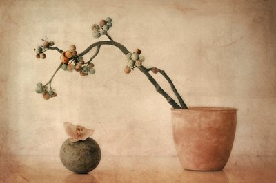 Földes bogyós gyümölcsök és orchidea alkotó: Elena Arjona