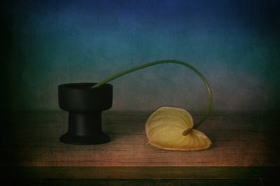 Elegáns anthurium-csendélet alkotó: Elena Arjona
