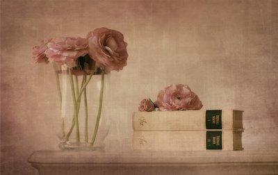 Lágy rózsaszín ranunculus csendélet alkotó: Elena Arjona