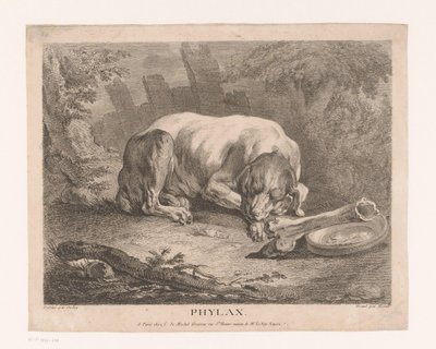 Alvó kutya Phylax (cím a tárgyon) alkotó: Élie du Mesnil