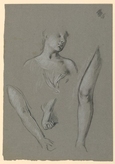 A figura tanulmányok részletei alkotó: Elihu Vedder
