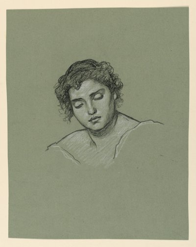 Rajz, Női fej, 1885 körül alkotó: Elihu Vedder