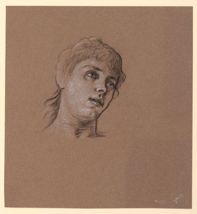 Rajz, Fiatal lány portrévázlata, 1885 körül. alkotó: Elihu Vedder