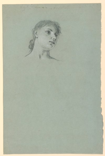 Rajz, Tanulmány egy lányról, 1885 körül. alkotó: Elihu Vedder