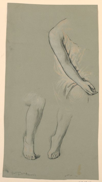Rajz, figura részletek, 1885 körül alkotó: Elihu Vedder