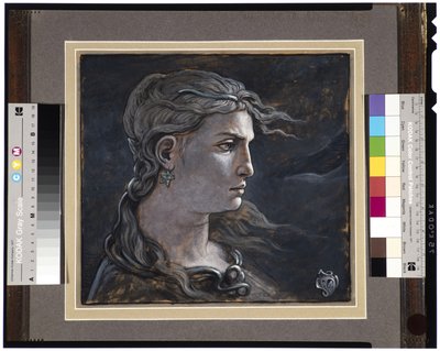 A Medúza vezetője, 1878 alkotó: Elihu Vedder