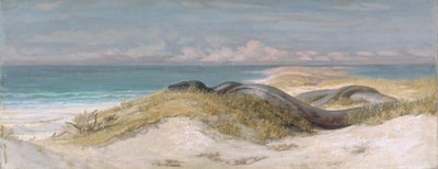  alkotó: Elihu Vedder