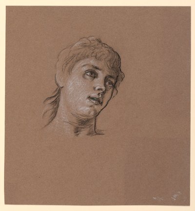 Portrévázlat egy fiatal lányról alkotó: Elihu Vedder