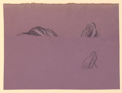 Tanulmány a "Fortune" számára alkotó: Elihu Vedder