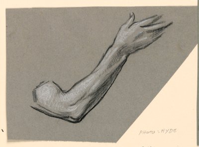 A kar tanulmányozása alkotó: Elihu Vedder