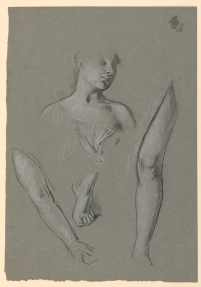 alaktanulmányok részletei alkotó: Elihu Vedder
