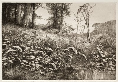 Egy nyári délután, 1882. alkotó: Elis F. Miller