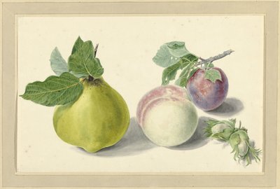 Egy körte, őszibarack, szilva és dió alkotó: Elisabeth Geertruida van de Kasteele
