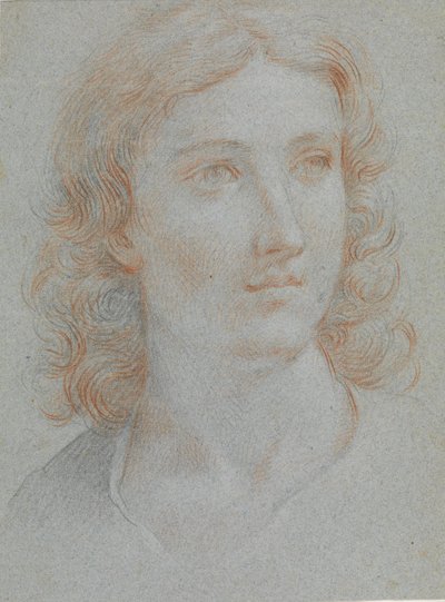 Egy fiatal férfi fejtanulmánya alkotó: Elisabetta Sirani
