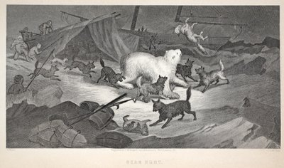 Medvevadászat, illusztráció a "The second Grinnell Expedition in Search of Sir John Franklin..." (A második Grinnell-expedíció Sir John Franklin keresésére...), 1856. alkotó: Elisha Kane