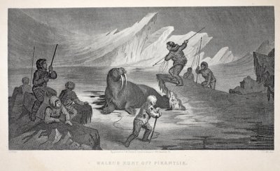 Rozmár vadászat Pikantliknál, illusztráció a "A második Grinnell-expedíció Sir John Franklin nyomában..." című filmből, 1856 alkotó: Elisha Kane