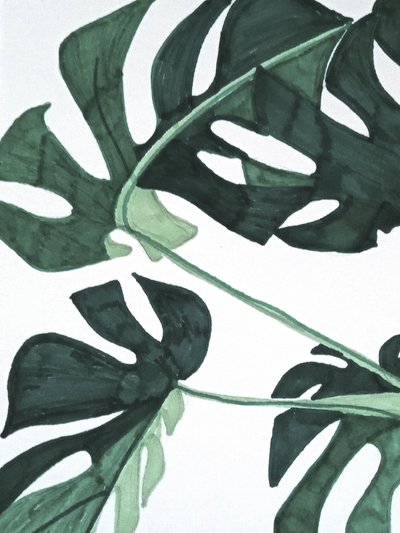 Absztrakt zöld monstera alkotó: Elizabeth C