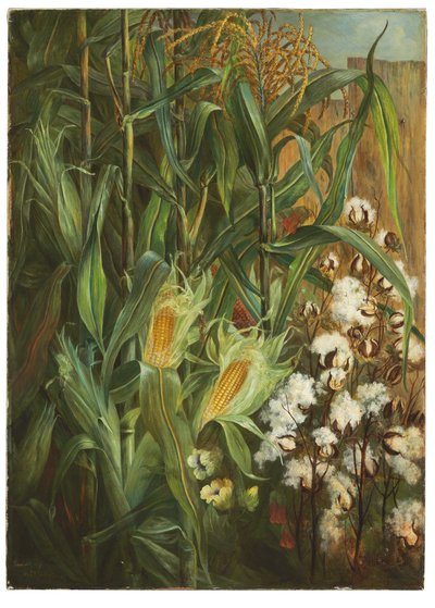 A két király: kukorica és pamut alkotó: Elizabeth H. Remington