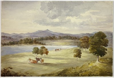 Tehenek a tájban alkotó: Elizabeth Murray