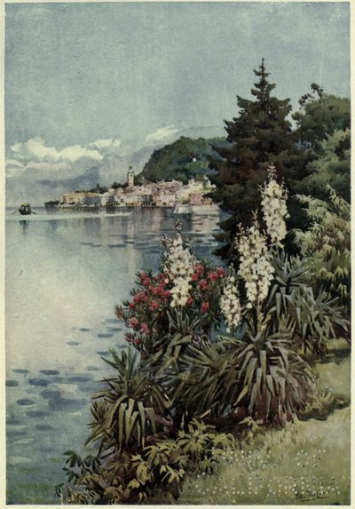 Egy csoport jukkák, Villa Melzi, Lago di Como, Illusztráció: "Az olasz tavak" Richard Bagottól alkotó: Ella Du Cane