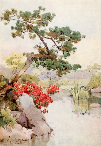 Azalea and Pine-tree (colour litho)   1406531   hu       hungarian Successfully Translated  Original: Le preneur de serpents Translat: Le preneur de serpents 1266937 hu hungarian Successfully Translated Original: Figuren in een molen aan het werk Translat: alkotó: Ella Du Cane