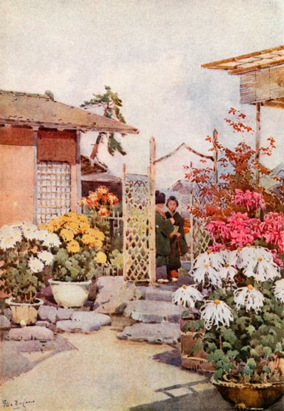 Krizantém, Kyoto (színes litho) alkotó: Ella Du Cane