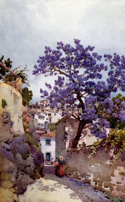 Jacaranda fa (színes litó) alkotó: Ella Du Cane