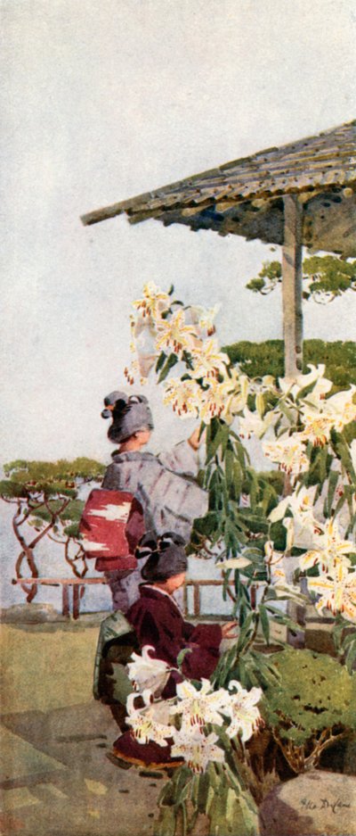 Arany liliom (színes litho) alkotó: Ella Du Cane