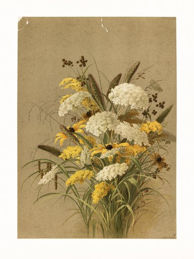 Hemlock, szarvasfű és aranyvessző alkotó: Ellen Thayer Fisher