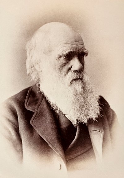 Charles Darwin: angol természettudós alkotó: Elliott und Fry Studio