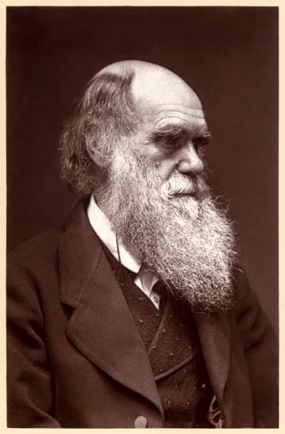 Charles Darwin: angol természettudós alkotó: Elliott und Fry Studio