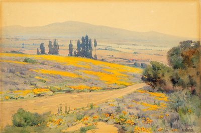 Kaliforniai tavaszi táj, kb. 1920. alkotó: Elmer Wachtel