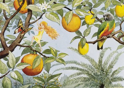 A Naptojás (1932) A Napföld alkotó: Elsa Beskow