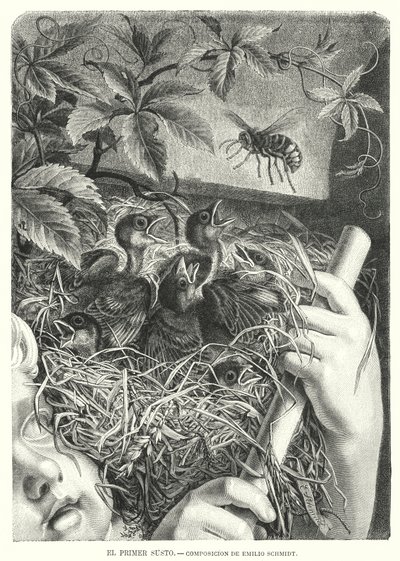 Az első rémület (litho) alkotó: Emil (after) Schmidt