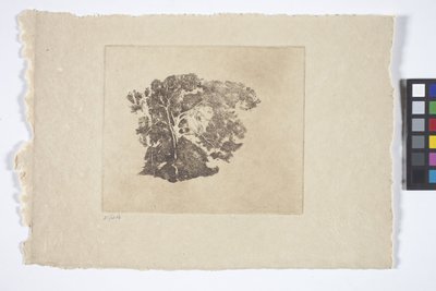 Fatanulmány (tinta) alkotó: Emil Carlsen
