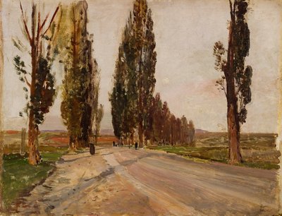 Boulevard of nyárfa Plankenberg közelében, kb. 1890 alkotó: Emil Jakob Schindler