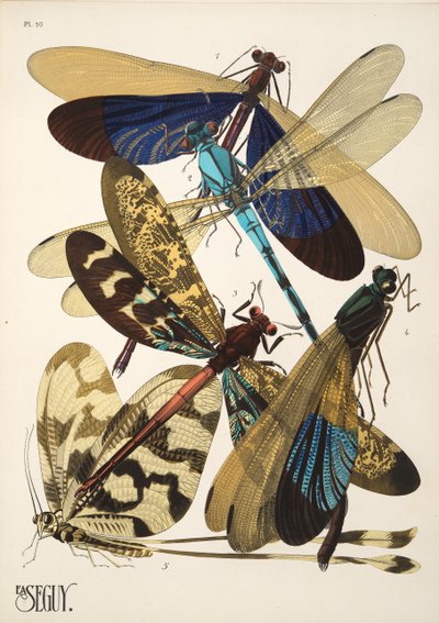10. tábla Rovarok, kocsma. 1930-as évek (pochoir print) alkotó: Émile Allain Séguy