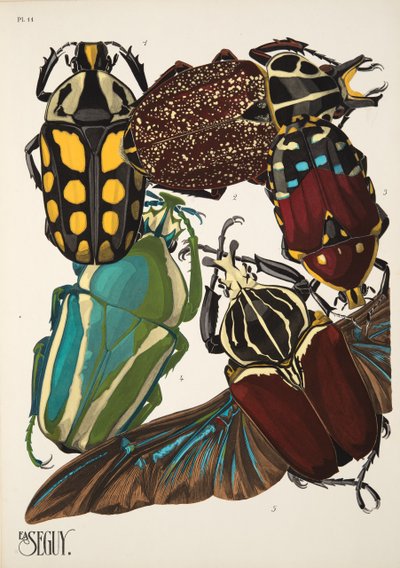 11. tábla Rovarok, kocsma. 1930-as évek (pochoir print) alkotó: Émile Allain Séguy
